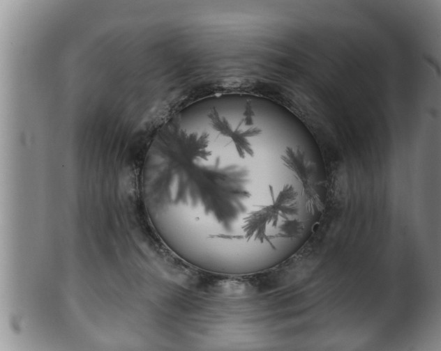 X0000100870272200806271120