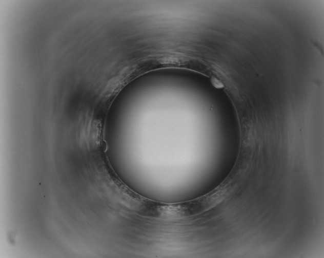 X0000100870273200806271120