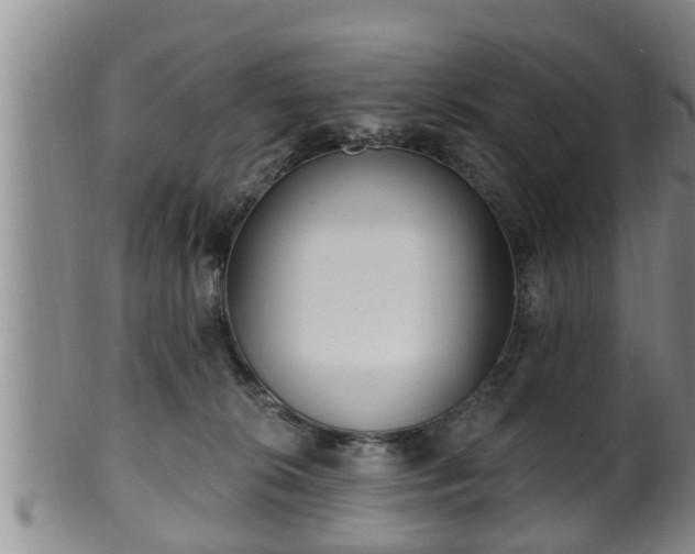 X0000100870276200806271120