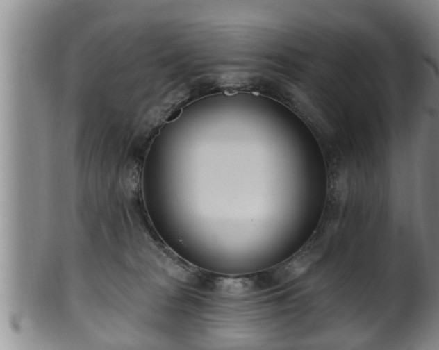 X0000100870277200806271120