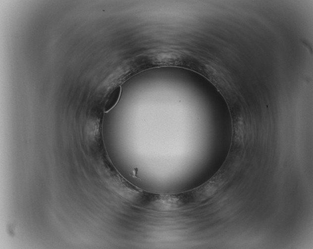 X0000100870278200806271120