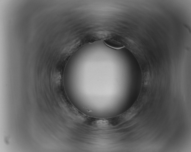 X0000100870279200806271120