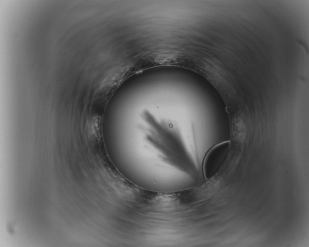 X0000100870280200806271120