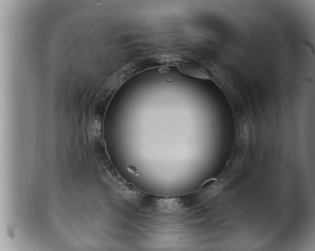 X0000100870281200806271120