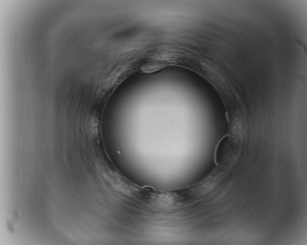 X0000100870282200806271120