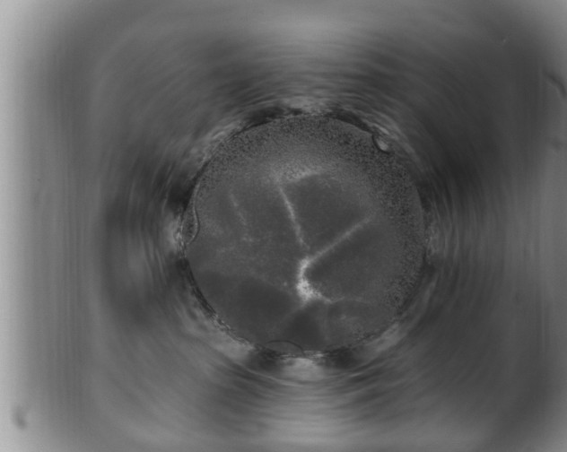 X0000100870285200806271120