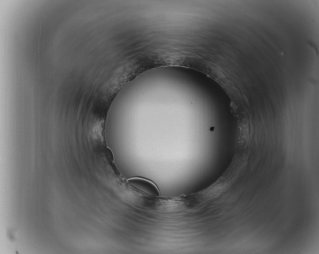 X0000100870286200806271120