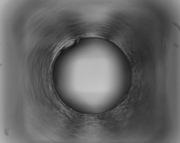 X0000100870289200806271119