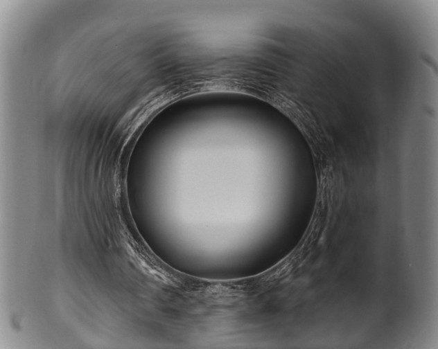 X0000100870290200806271119