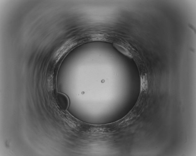 X0000100870291200806271119