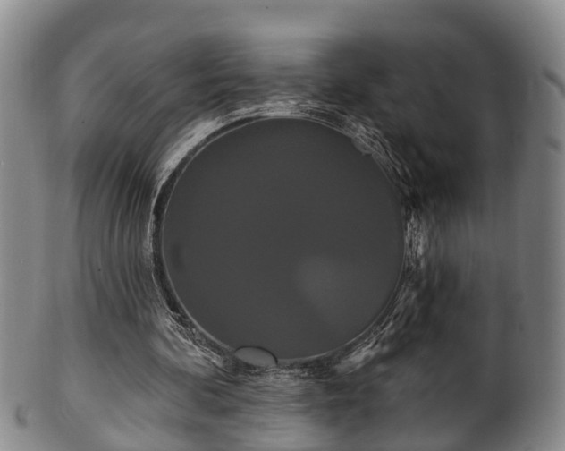 X0000100870292200806271119