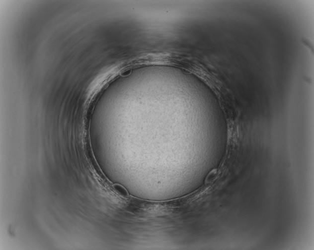 X0000100870293200806271119