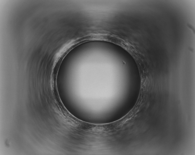 X0000100870294200806271119