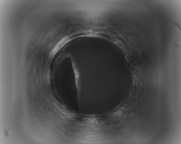 X0000100870295200806271119