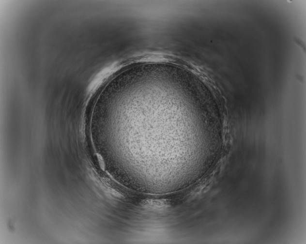 X0000100870296200806271119