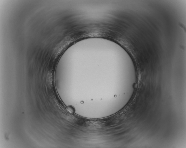 X0000100870297200806271119