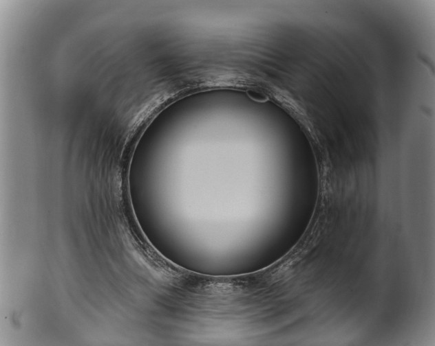 X0000100870298200806271119