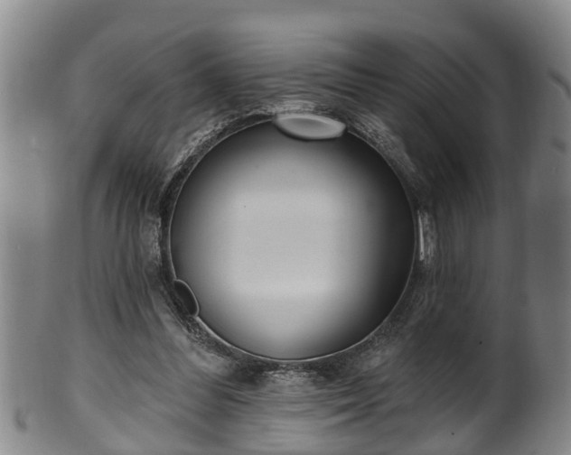 X0000100870300200806271119