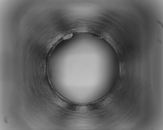 X0000100870301200806271119