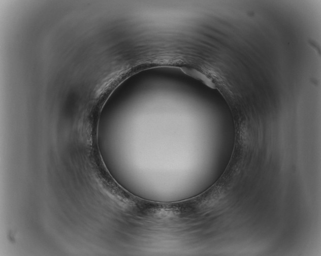 X0000100870303200806271119