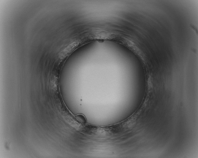 X0000100870305200806271119