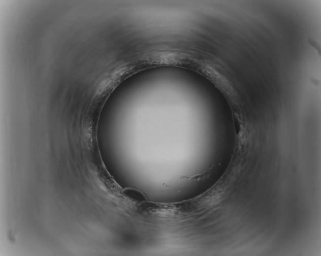 X0000100870306200806271119