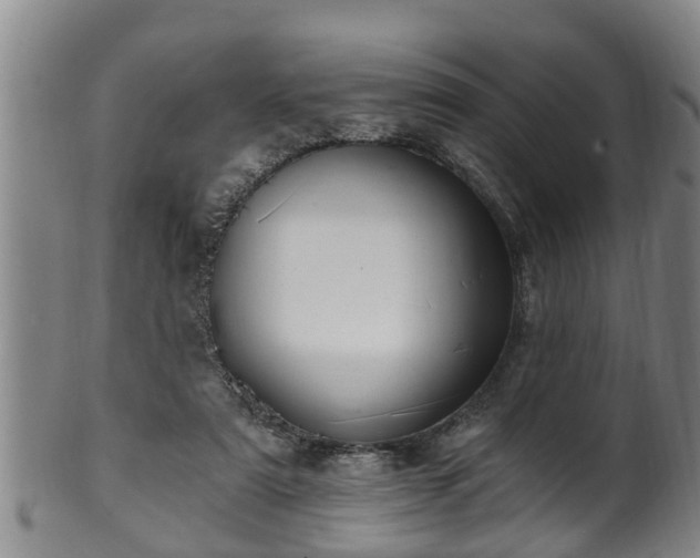 X0000100870307200806271119