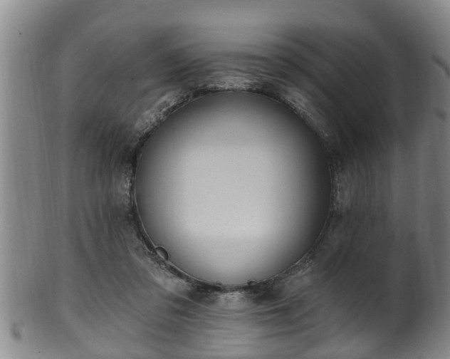 X0000100870309200806271119