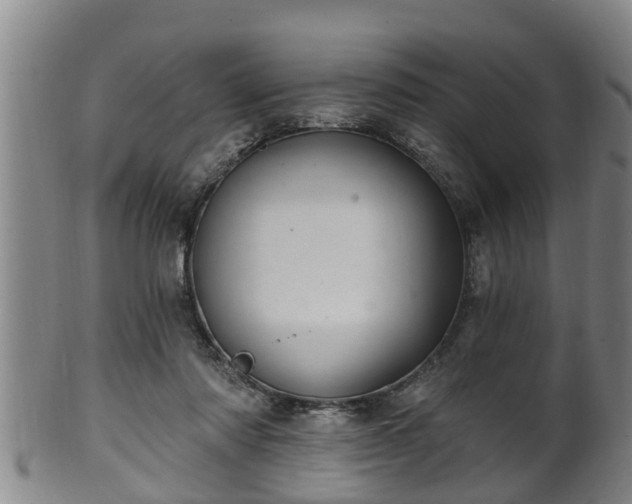 X0000100870310200806271119