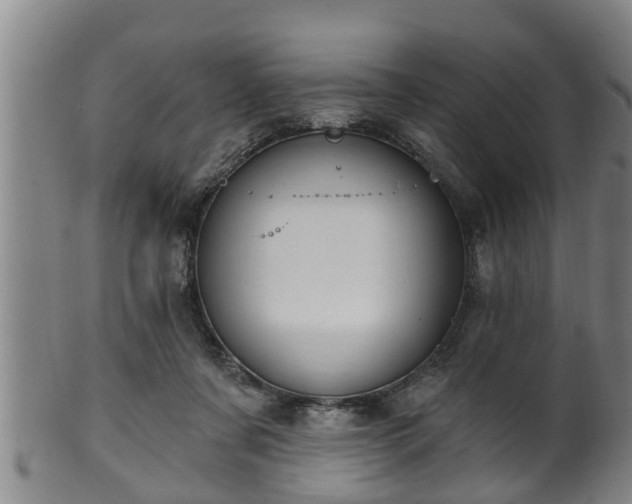 X0000100870311200806271119