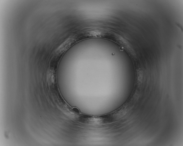 X0000100870313200806271119