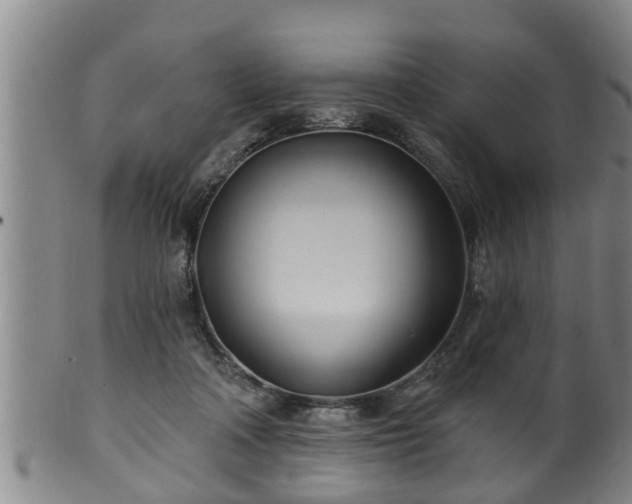 X0000100870314200806271119