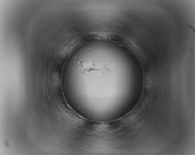 X0000100870318200806271119