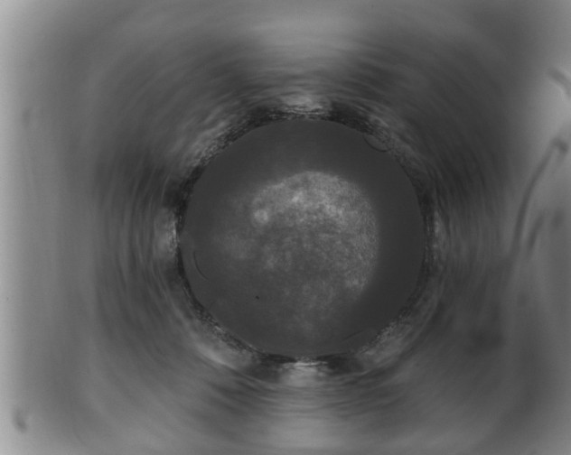 X0000100870320200806271119