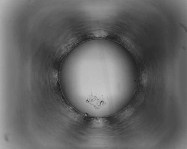 X0000100870321200806271119