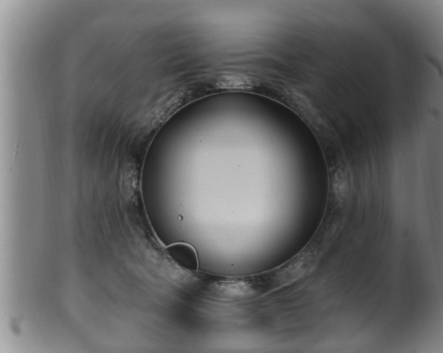 X0000100870322200806271119