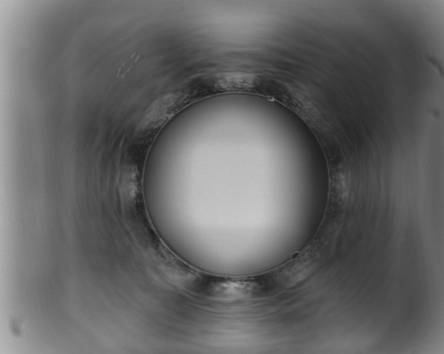 X0000100870323200806271119