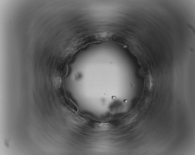 X0000100870324200806271119