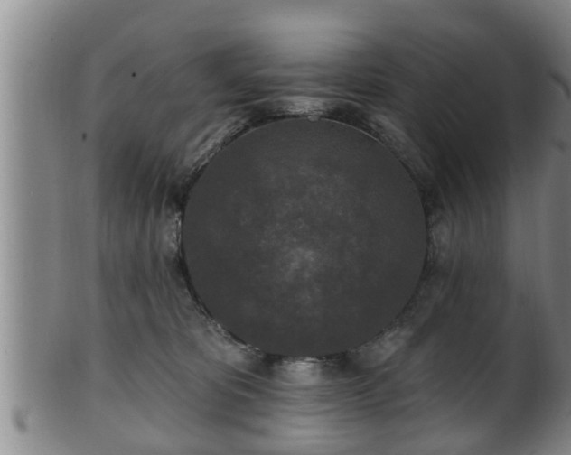 X0000100870325200806271119