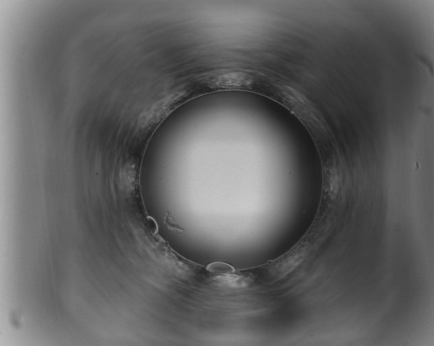 X0000100870326200806271119