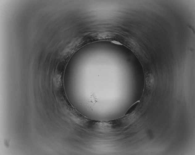 X0000100870327200806271119