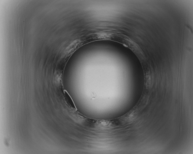 X0000100870329200806271119