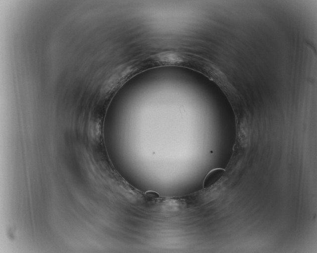 X0000100870330200806271119