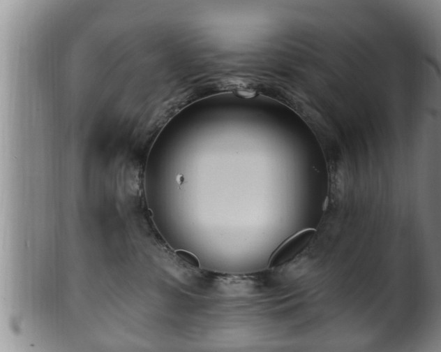 X0000100870331200806271119