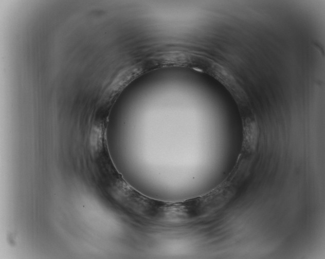 X0000100870333200806271119