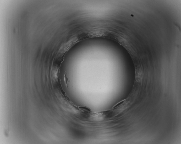 X0000100870334200806271119