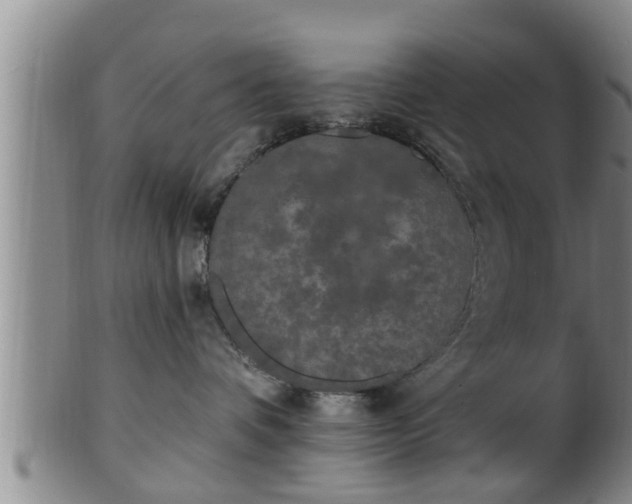 X0000100870336200806271119