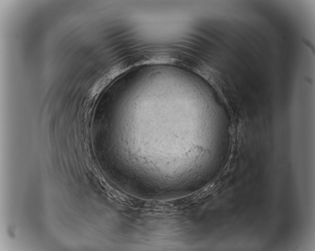 X0000100870337200806271118