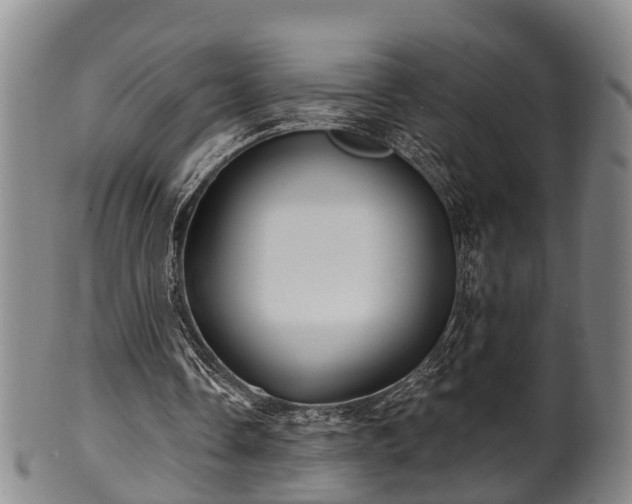 X0000100870338200806271118