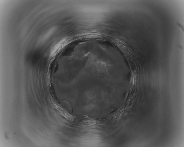 X0000100870339200806271118